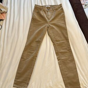 Loft cargo pants